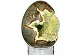 Calcite Crystal Filled Septarian Geode Egg - Utah #114329-3